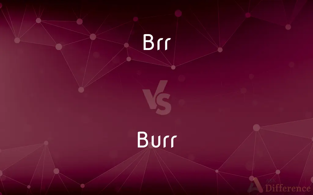 Brr vs. Burr — What's the Difference?