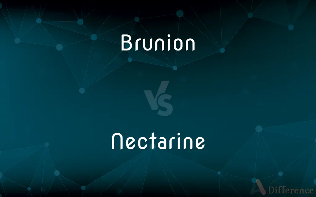 Brunion vs. Nectarine — What's the Difference?