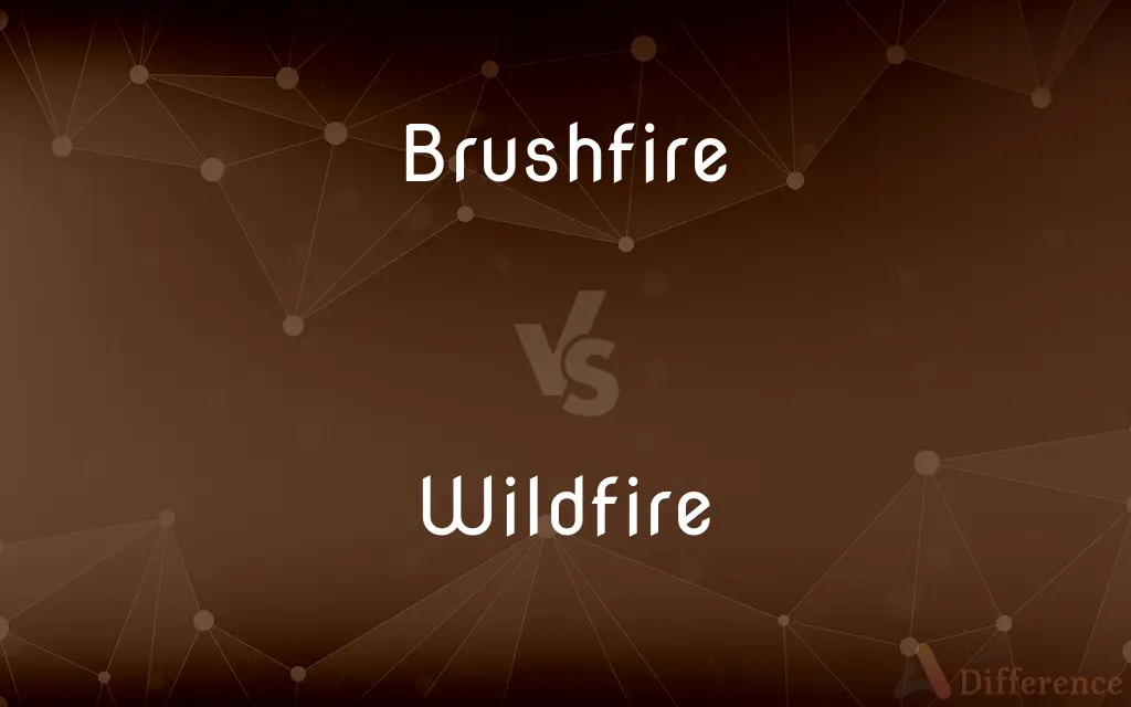 Brushfire vs. Wildfire — What's the Difference?
