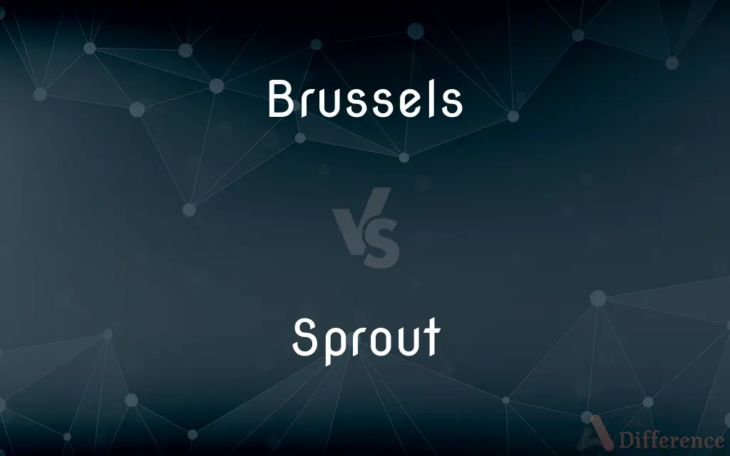 Brussels vs. Sprout — What's the Difference?