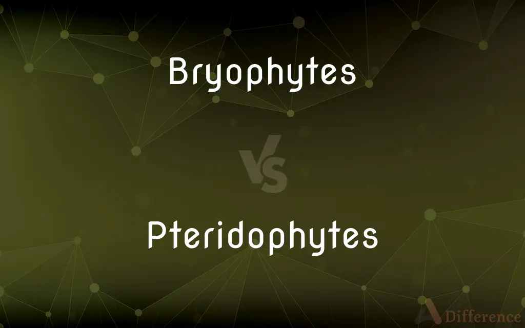 Bryophytes vs. Pteridophytes — What's the Difference?