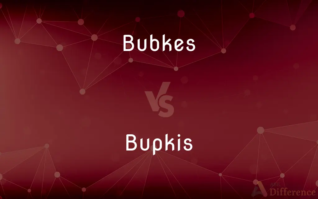 Bubkes vs. Bupkis — What's the Difference?
