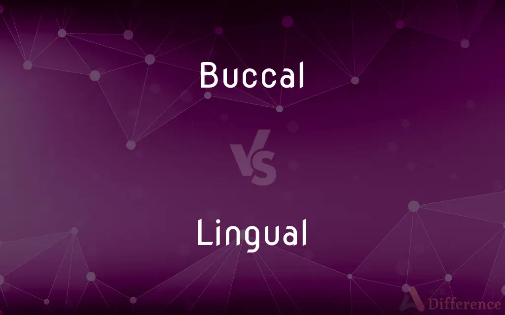 Buccal vs. Lingual — What's the Difference?