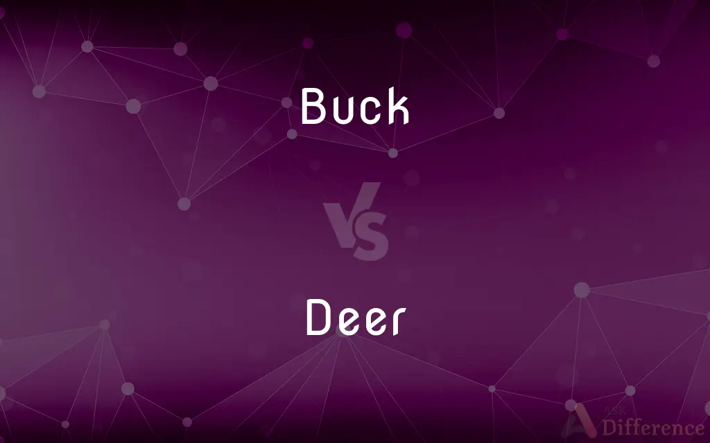 Buck vs. Deer — What's the Difference?