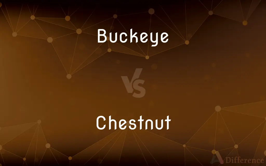Buckeye vs. Chestnut — What's the Difference?