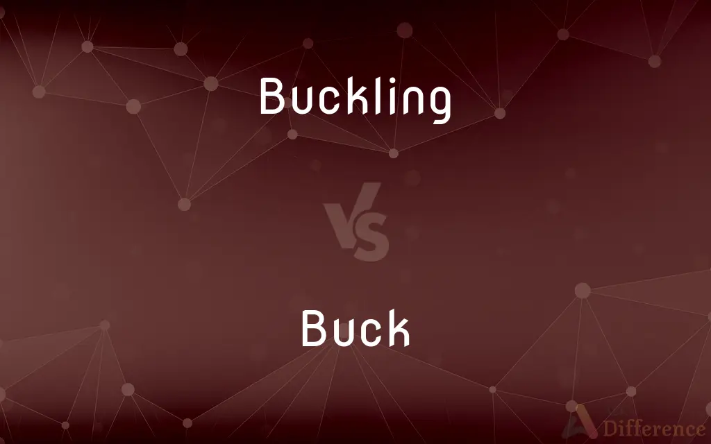 Buckling vs. Buck — What's the Difference?