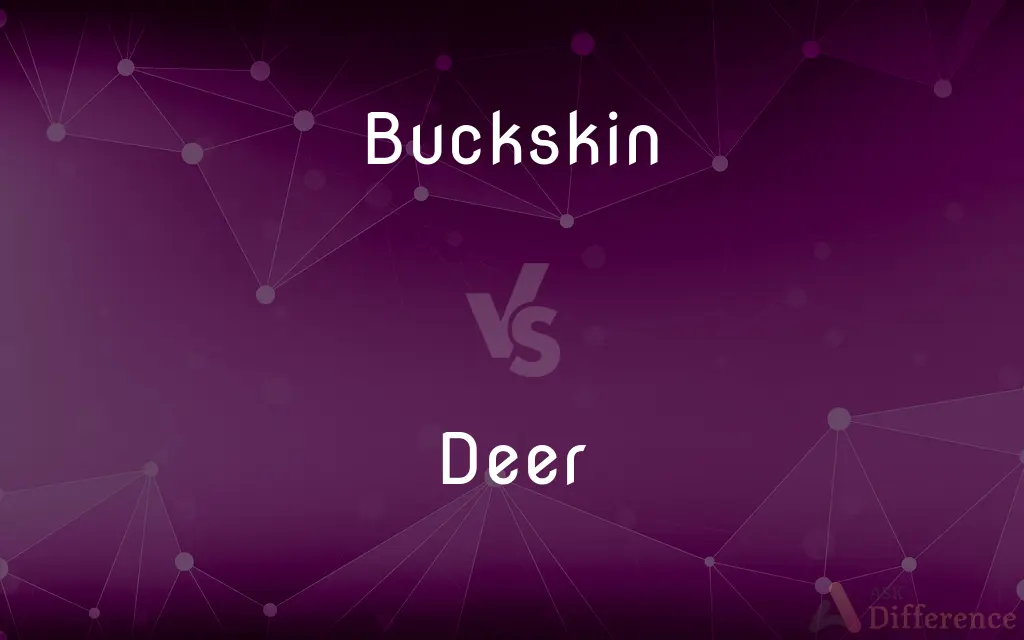 Buckskin vs. Deer — What's the Difference?