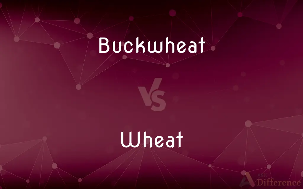 Buckwheat vs. Wheat — What's the Difference?
