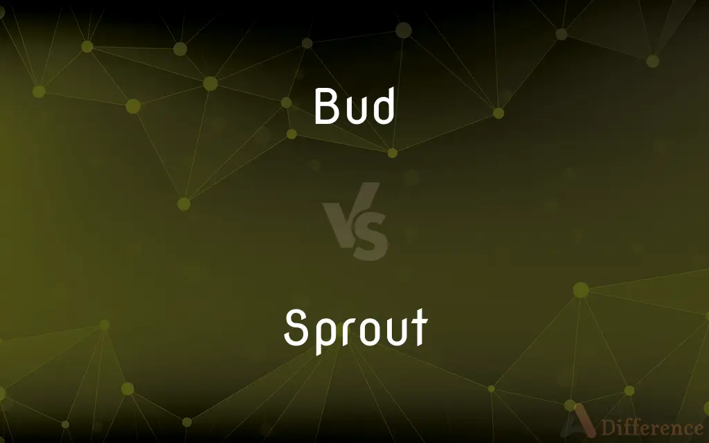 Bud vs. Sprout — What's the Difference?