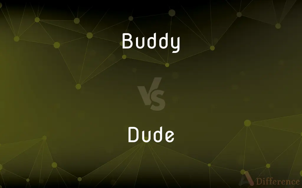 Buddy vs. Dude — What's the Difference?