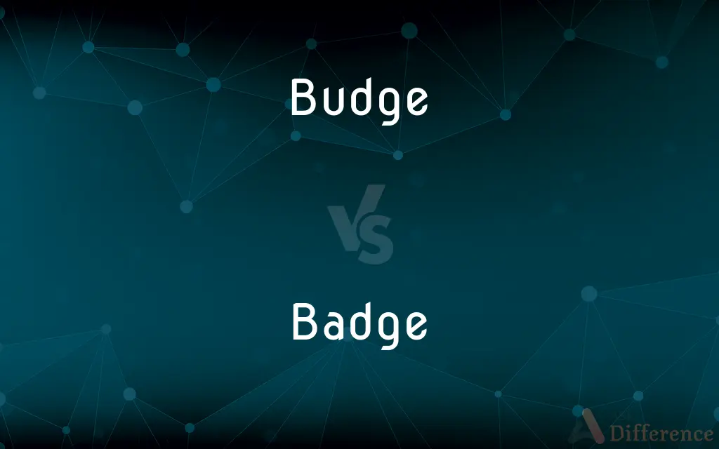 Budge vs. Badge — What's the Difference?