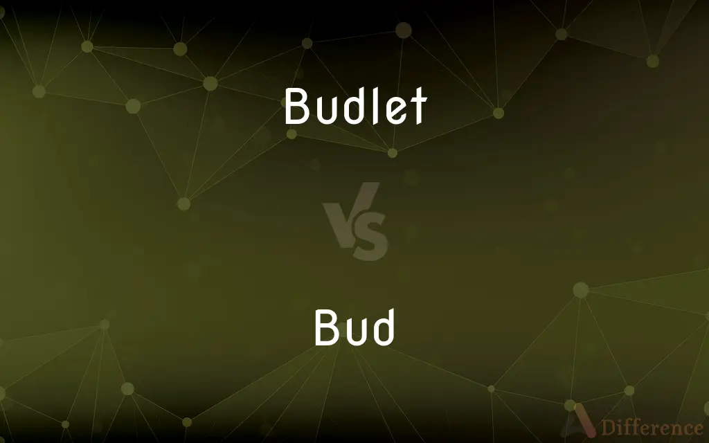 Budlet vs. Bud — What's the Difference?