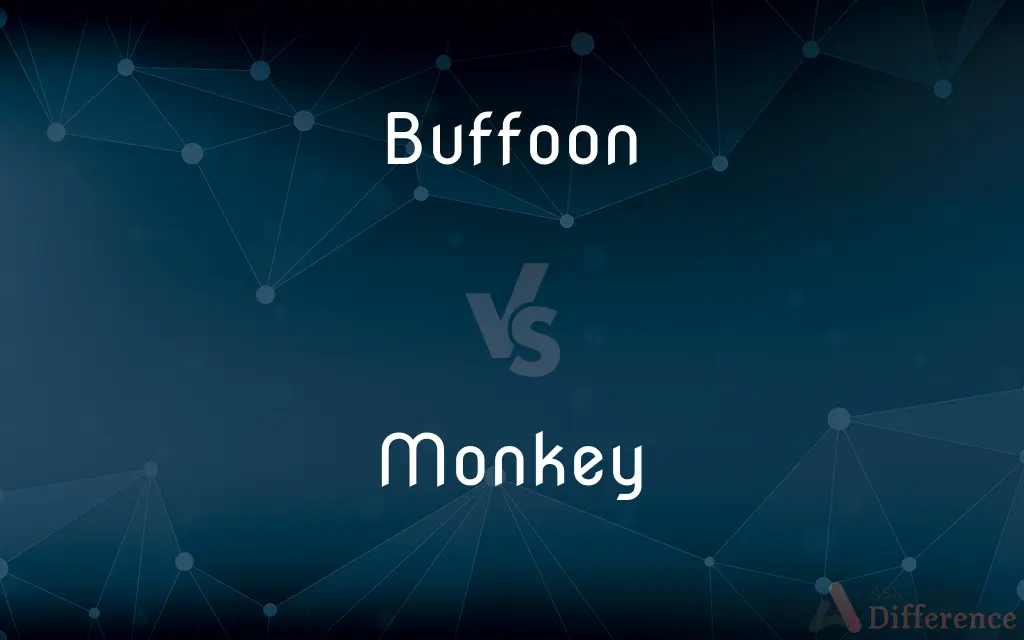 Buffoon vs. Monkey — What's the Difference?