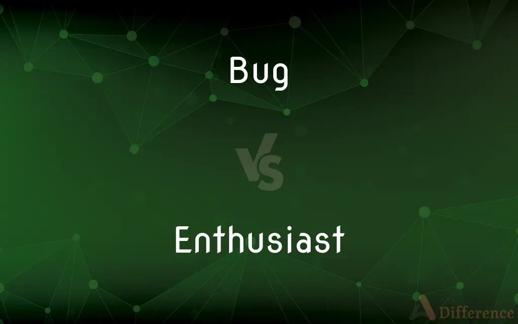 Bug vs. Enthusiast — What's the Difference?