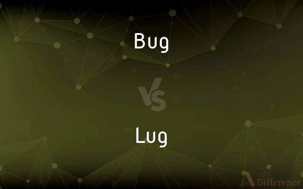 Bug vs. Lug — What's the Difference?