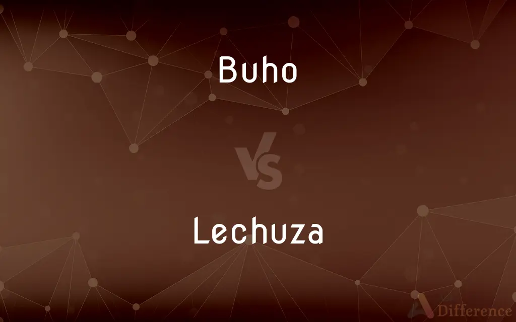 Buho vs. Lechuza — What's the Difference?