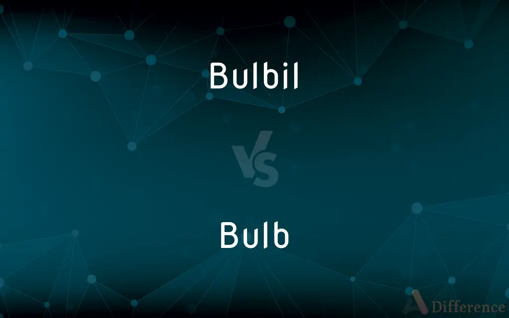 Bulbil vs. Bulb — What's the Difference?