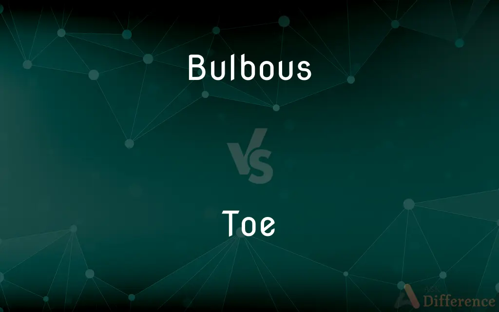 Bulbous vs. Toe — What's the Difference?