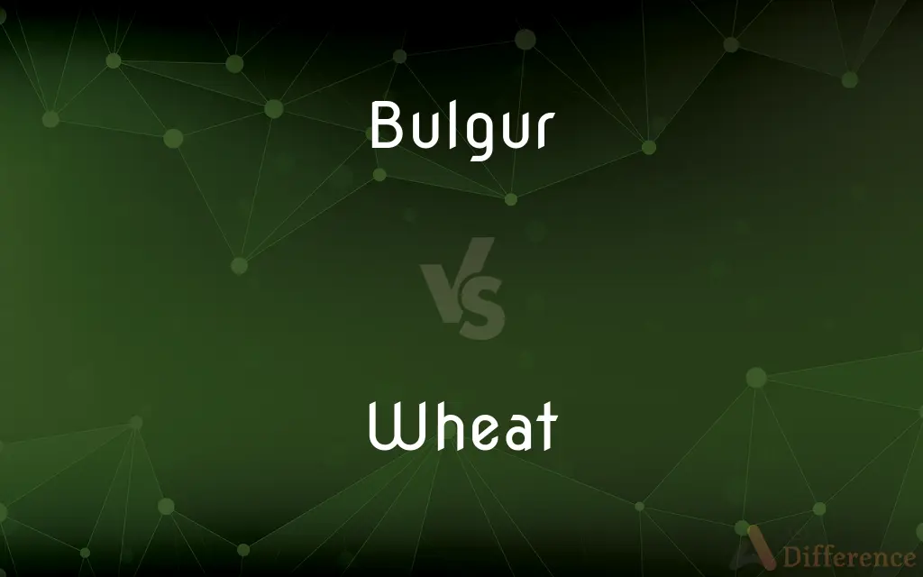 Bulgur vs. Wheat — What's the Difference?