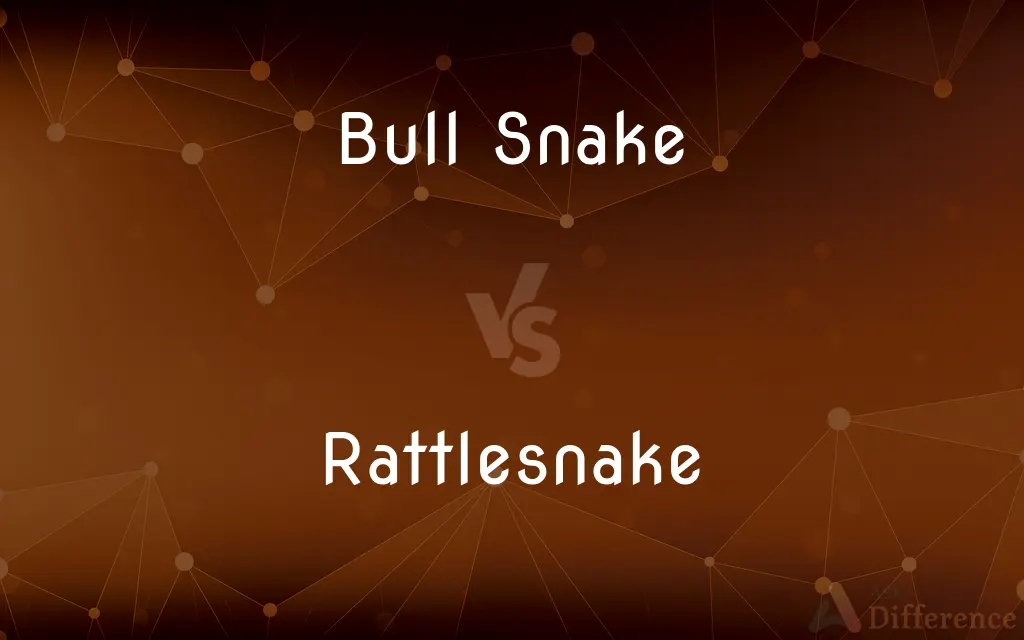 Bull Snake vs. Rattlesnake — What's the Difference?