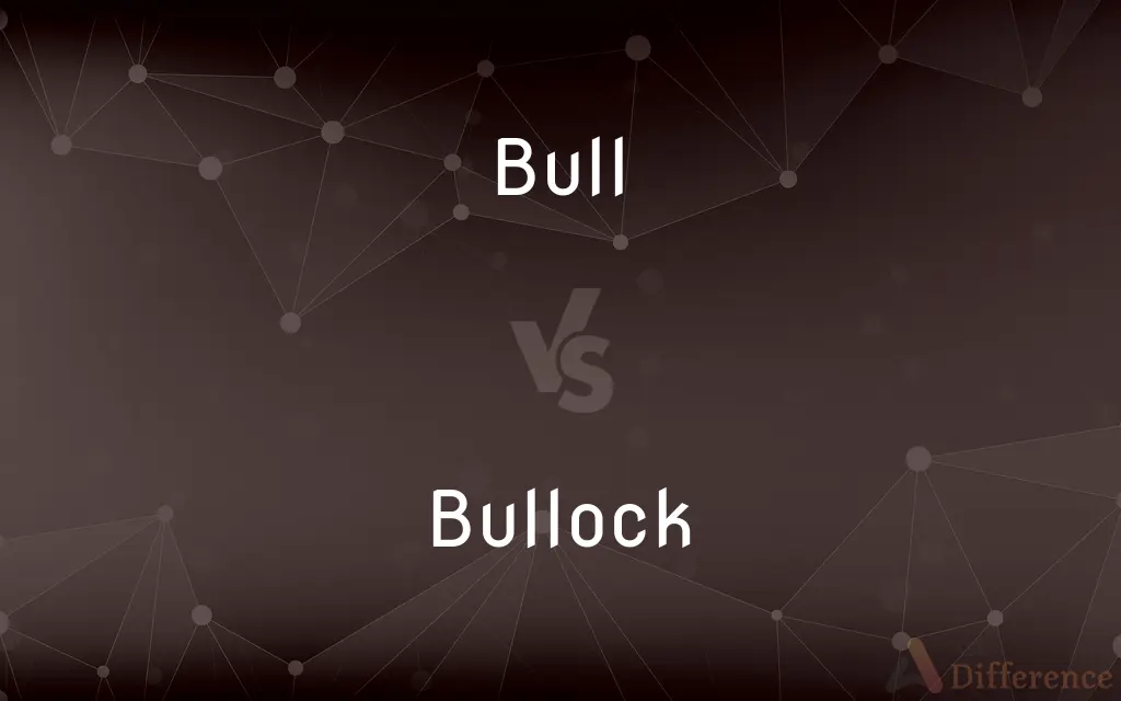 Bull vs. Bullock — What's the Difference?