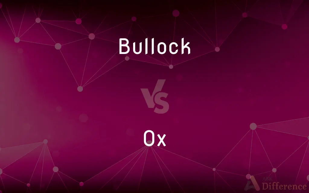 Bullock vs. Ox — What's the Difference?