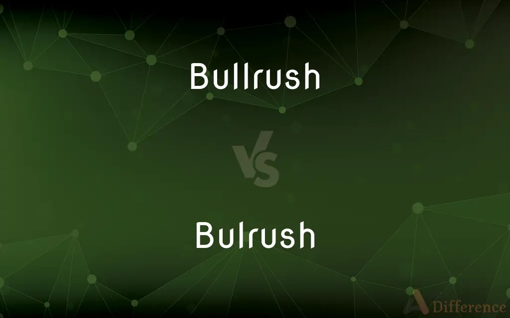 Bullrush vs. Bulrush — What's the Difference?