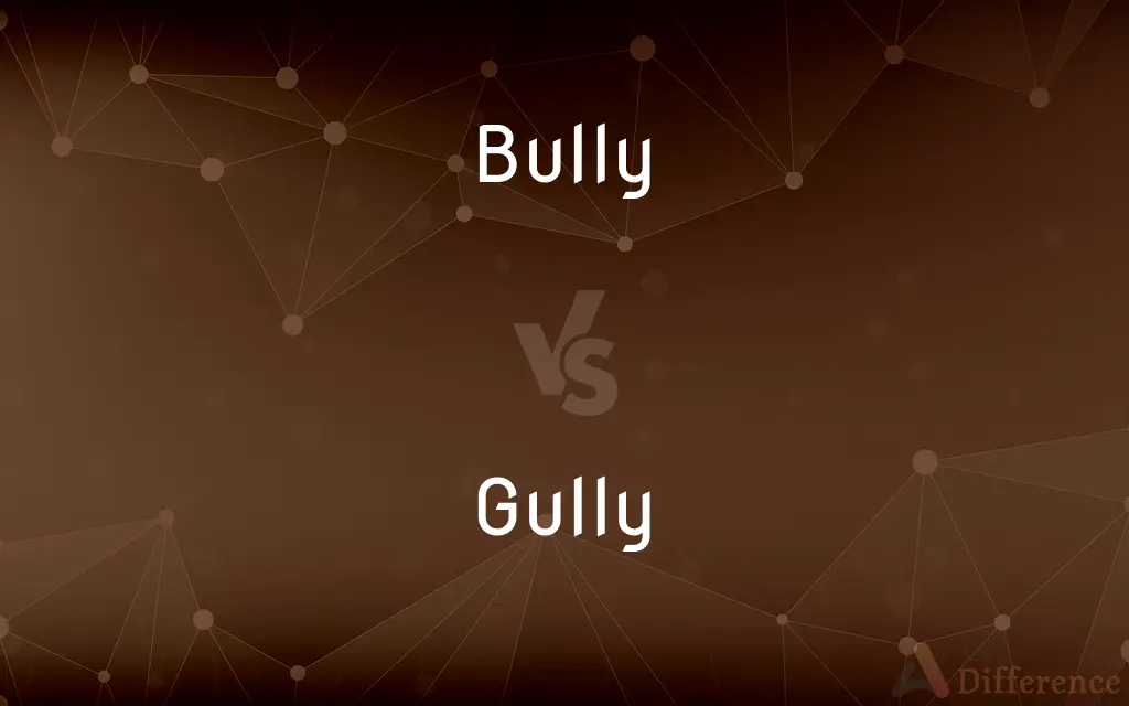 Bully vs. Gully — What's the Difference?