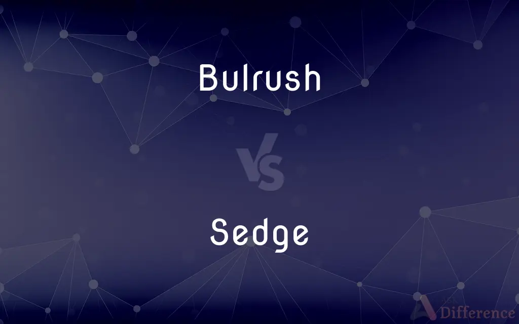 Bulrush vs. Sedge — What's the Difference?