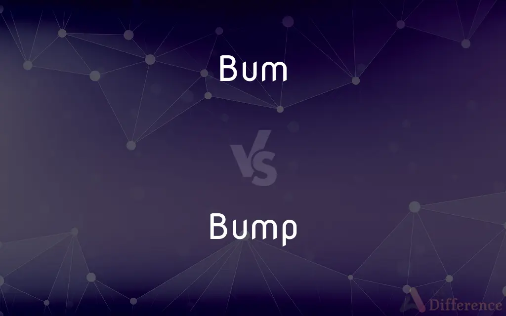 Bum vs. Bump — What's the Difference?