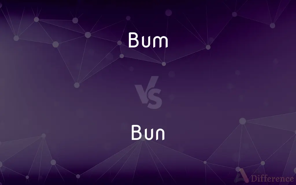 Bum vs. Bun — What's the Difference?