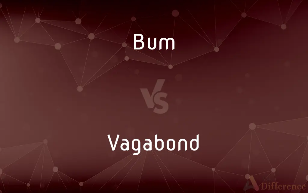Bum vs. Vagabond — What's the Difference?