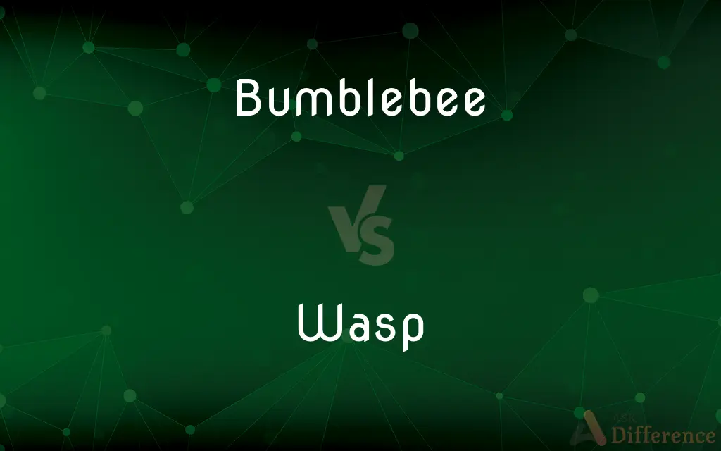 Bumblebee vs. Wasp — What's the Difference?