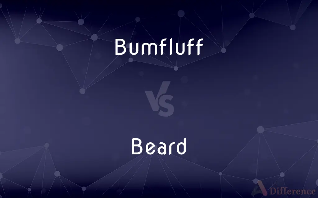 Bumfluff vs. Beard — What's the Difference?
