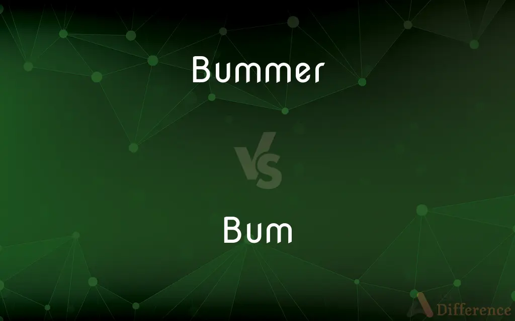 Bummer vs. Bum — What's the Difference?