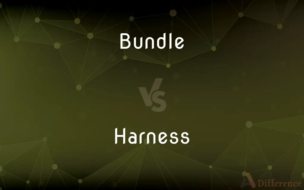 Bundle vs. Harness — What's the Difference?