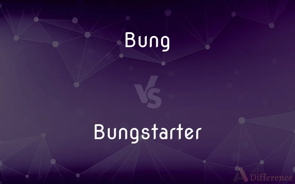Bung vs. Bungstarter — What's the Difference?