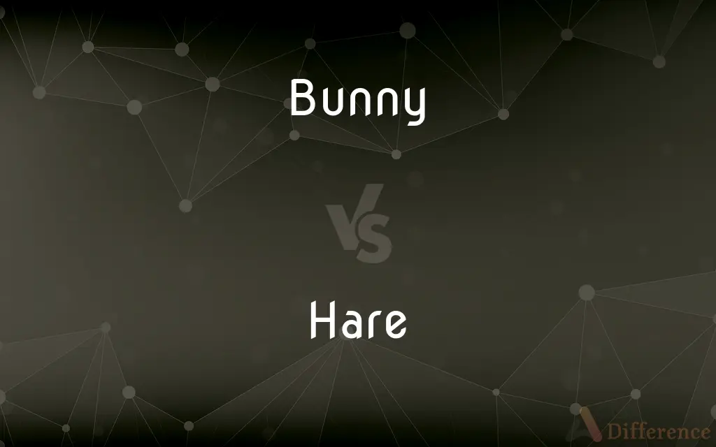 Bunny vs. Hare — What's the Difference?