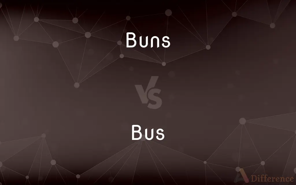 Buns vs. Bus — What's the Difference?