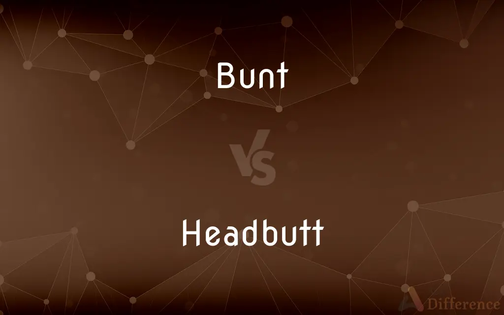 Bunt vs. Headbutt — What's the Difference?