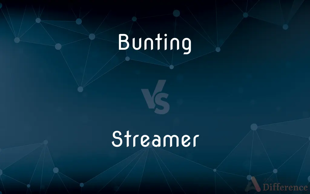 Bunting vs. Streamer — What's the Difference?