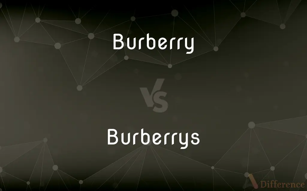 Burberry vs. Burberrys — Which is Correct Spelling?