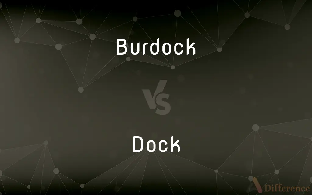 Burdock vs. Dock — What's the Difference?