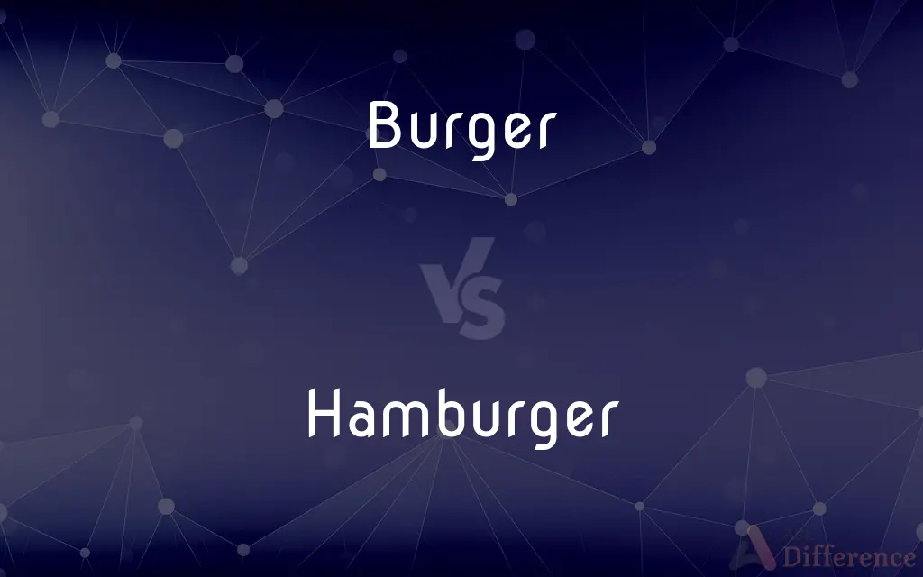 Burger vs. Hamburger — What's the Difference?