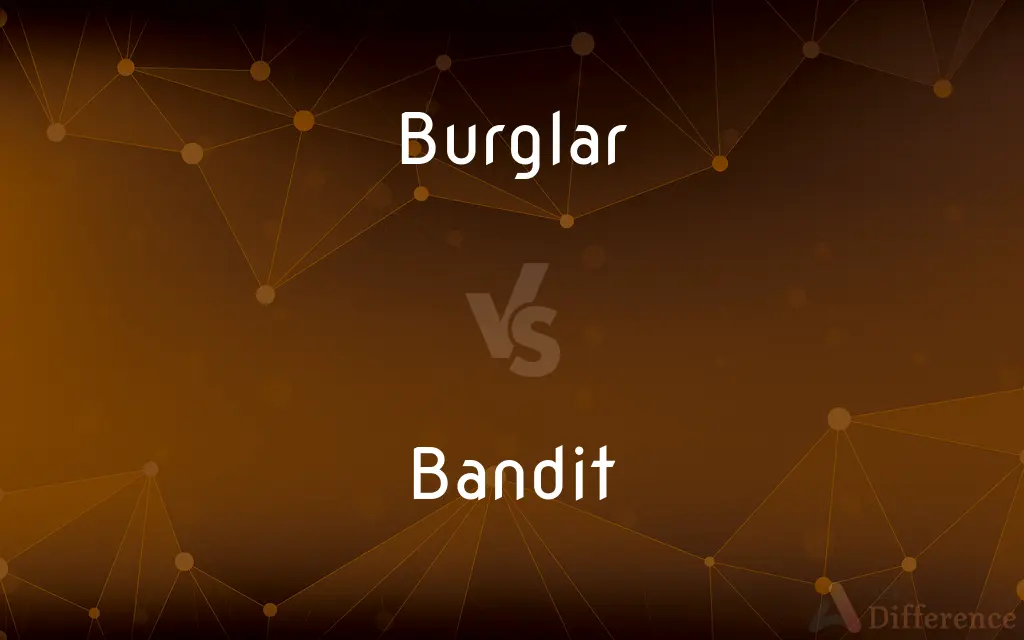 Burglar vs. Bandit — What's the Difference?