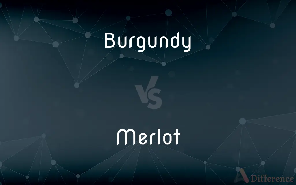 Burgundy vs. Merlot — What's the Difference?