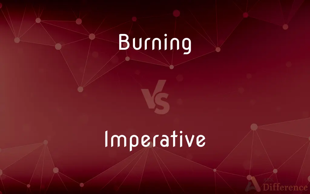 Burning vs. Imperative — What's the Difference?