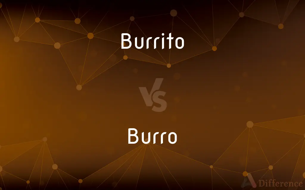 Burrito vs. Burro — What's the Difference?