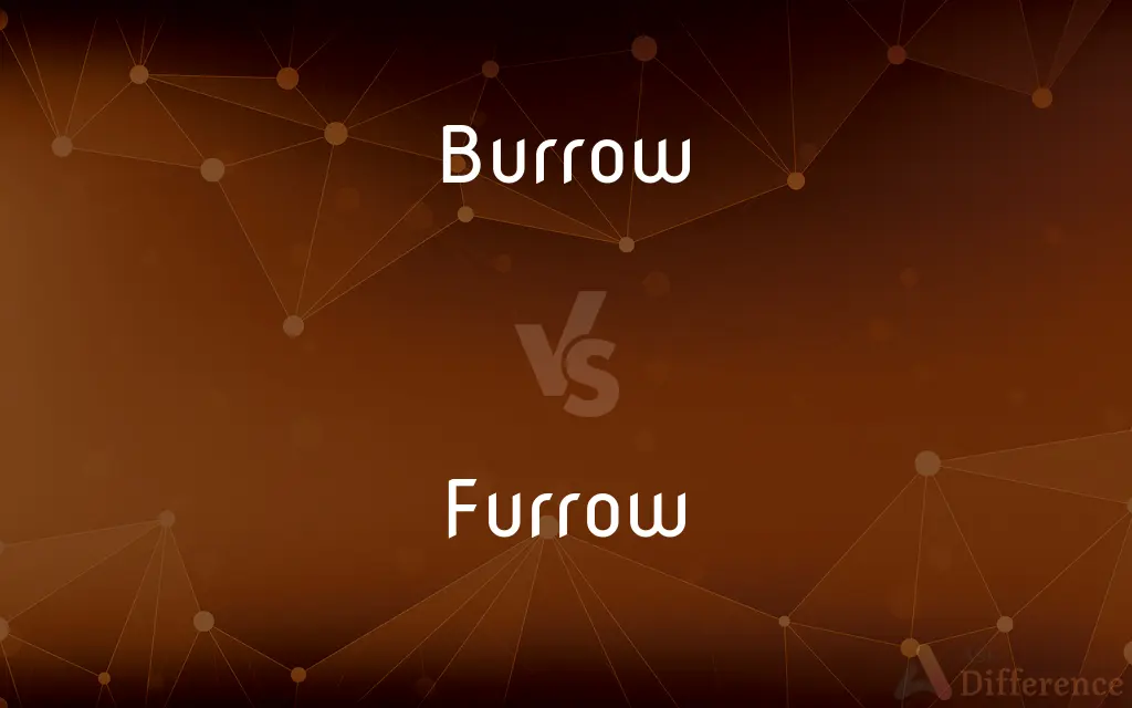 Burrow vs. Furrow — What's the Difference?