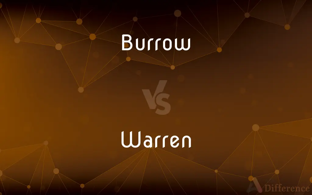 Burrow vs. Warren — What's the Difference?